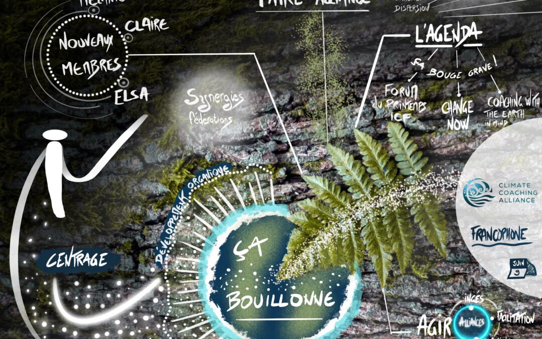 Qu’est-ce que la facilitation graphique ? (4/5)