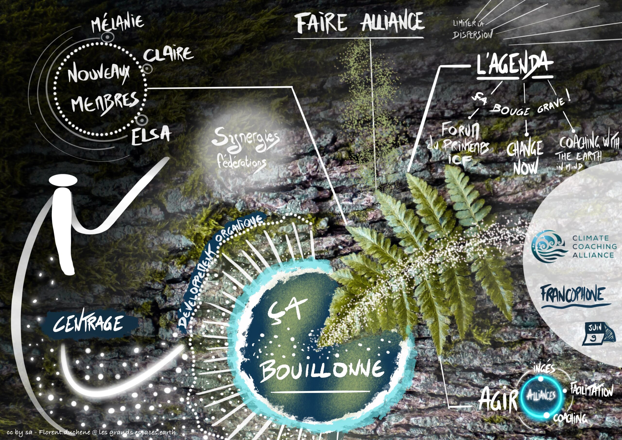 Qu’est-ce que la facilitation graphique ? (4/5)