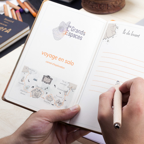 facilitation graphique sous forme de carte