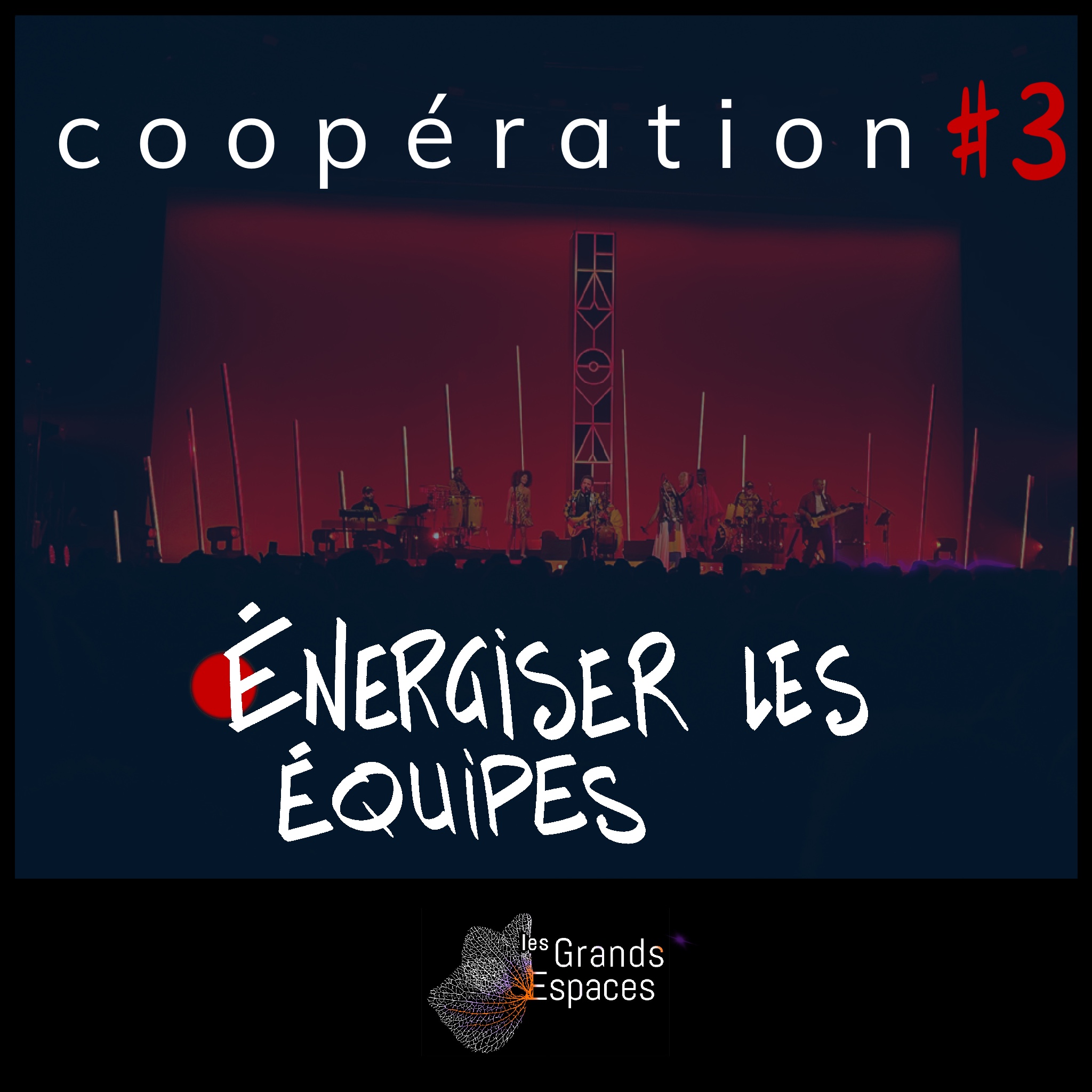 Coopération les grands espaces lamomali